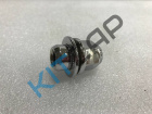����� �������� (����� ����)